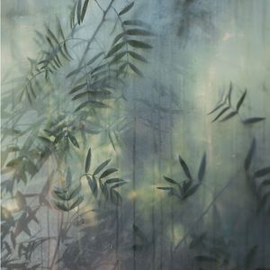 Meet your Posher, Iam